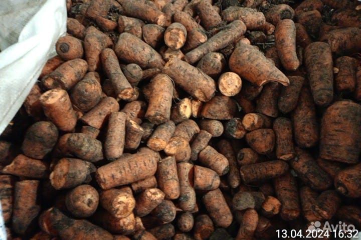 Морковь на корм животным