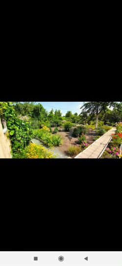 Дача 20 м² на участке 4 сот.