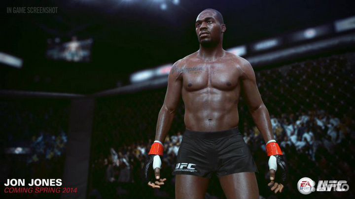 Игры PS4 UFC