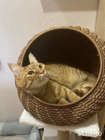 Домик лежанка для кошки и собаки