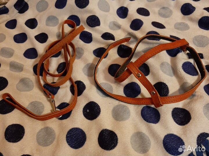 Шлейка с поводком