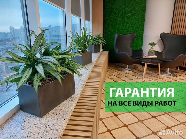 Комплексное озеленение офиса