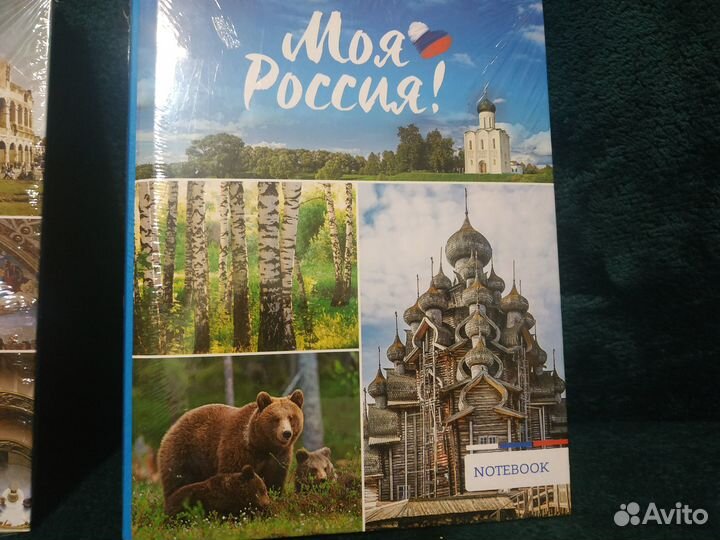 Тетради с кольцами 120 листов