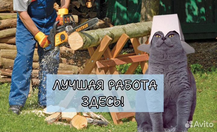 Пильщик дров Ижевск вахта