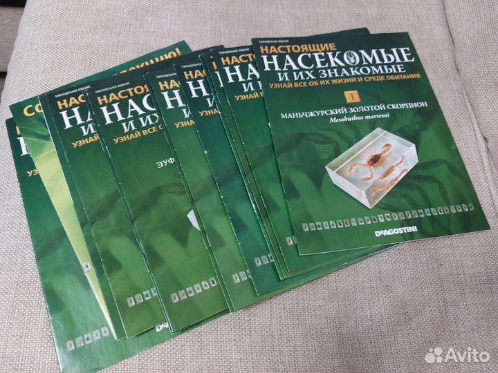 Насекомые в стекле