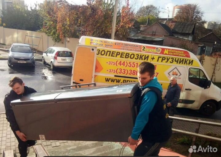 Грузоперевозки