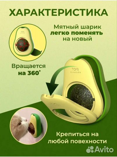 Кошачья мята