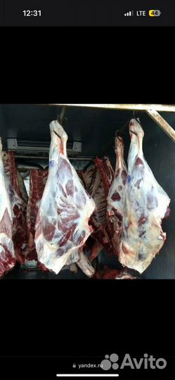 Мясо говядина