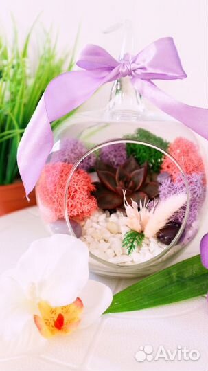 Флорариум в вазе 