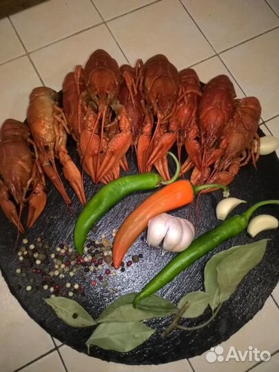 Раки Лабинск