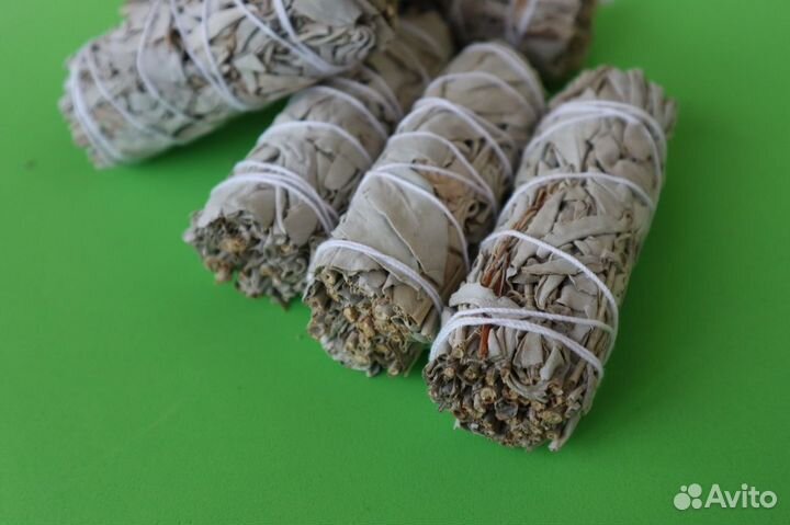 Шалфей Белый от 300шт опт для Вайлберис