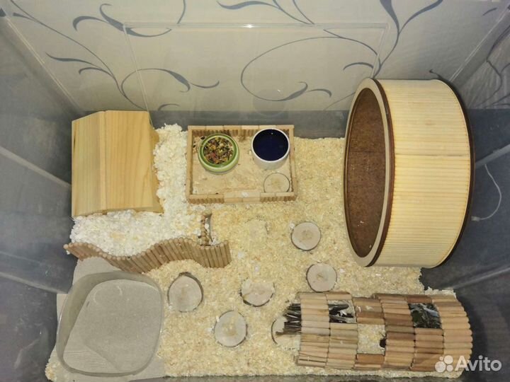 Колесо для хомяка+все необходимое для жилья