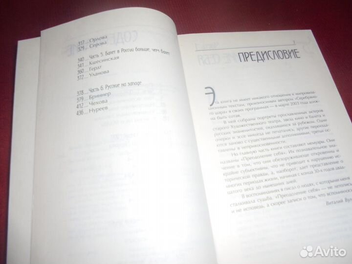 Виталий Вульф Серебряный шар Москва Зебра 2006
