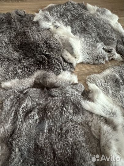 Шкурки кролика 7 штук