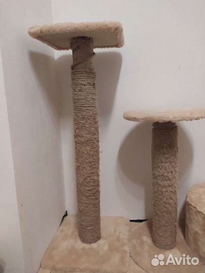 Когтеточка бу осталась без домика