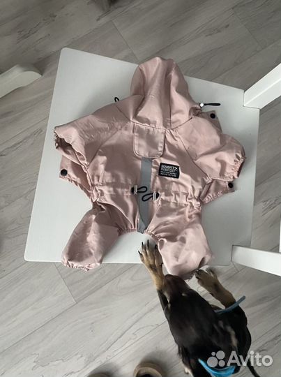 Комбинезон для собак
