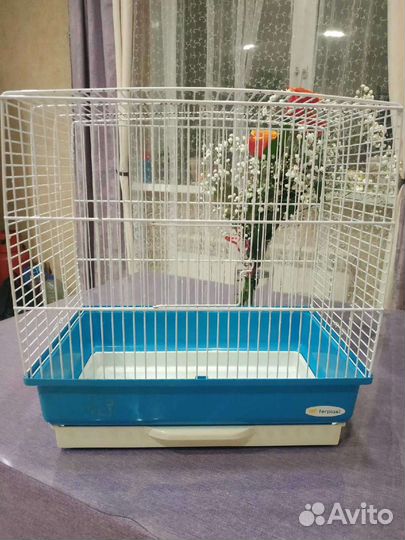 Клетка для волнистого попугая