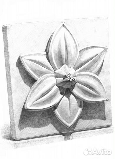 Обучение рисунку - научу вас рисовать