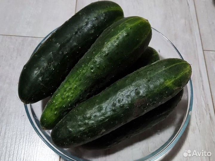 Огурцы свежие домашние