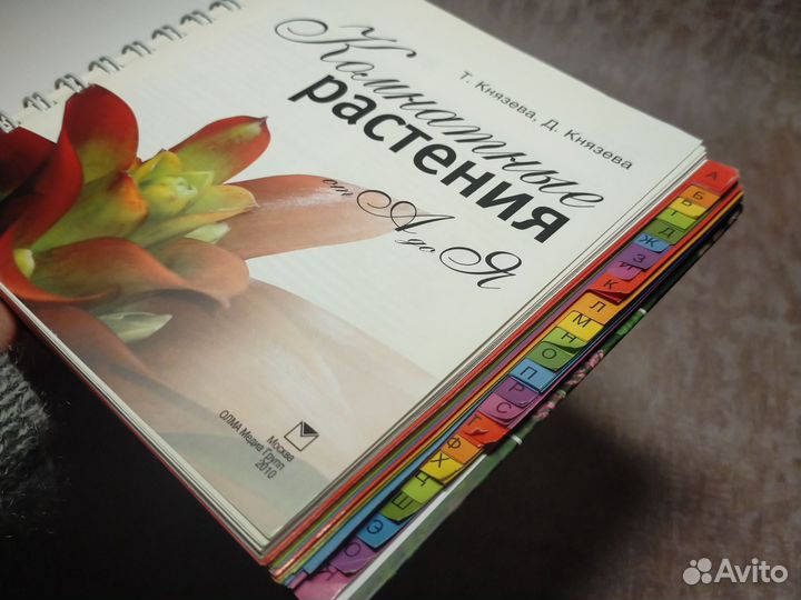 Комнатные растения / Справочное пособие