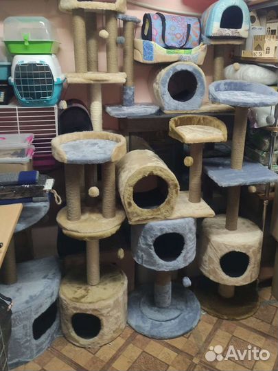 Когтеточки, домики, лежанки, переноски для котов