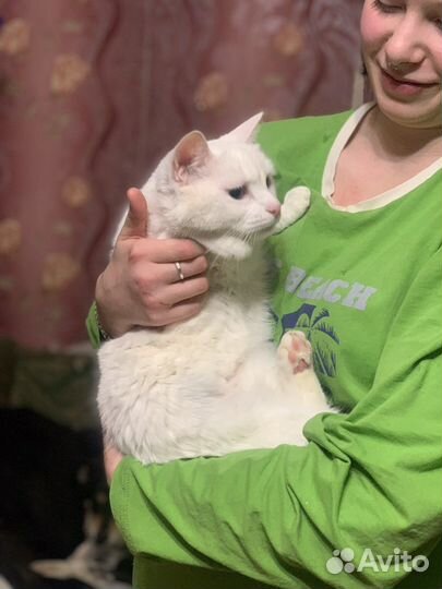 Подарите дом сироте