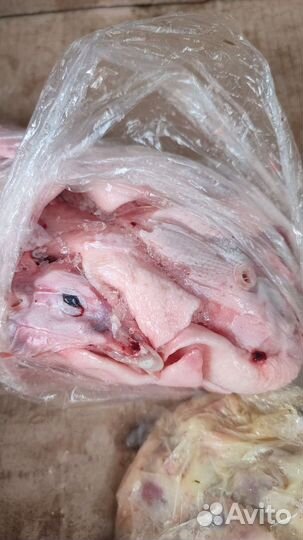 Мясо для собак