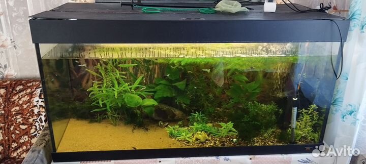 Аквариум