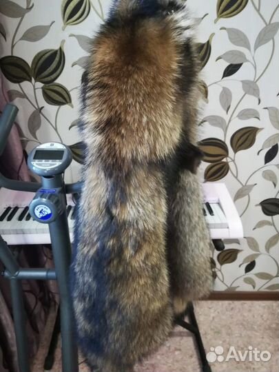 Шкура енота