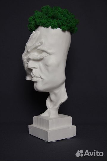 Кашпо (стабилизированный мох)