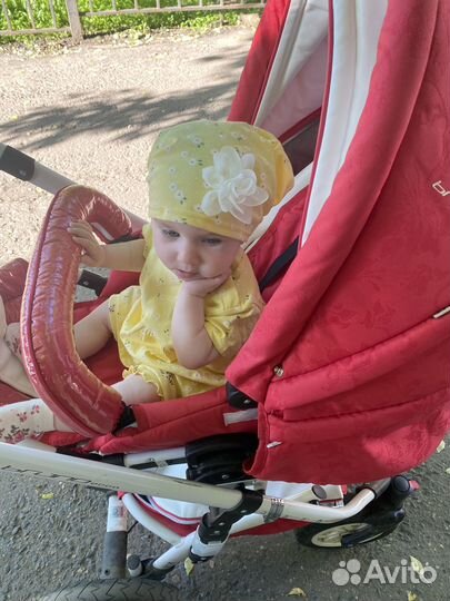 Коляска adamex 3 в 1