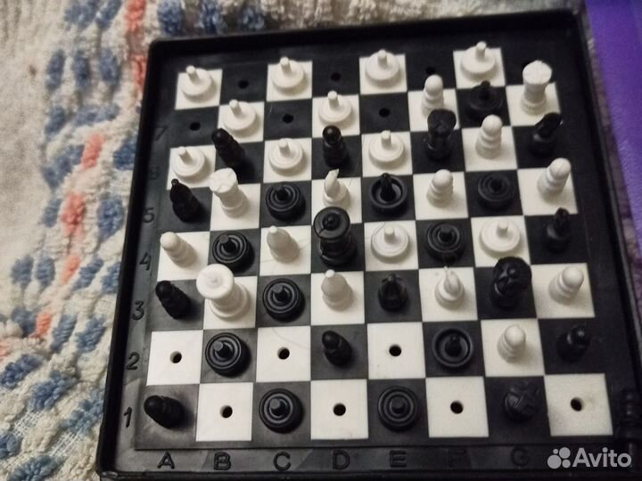 Шашки шахматы