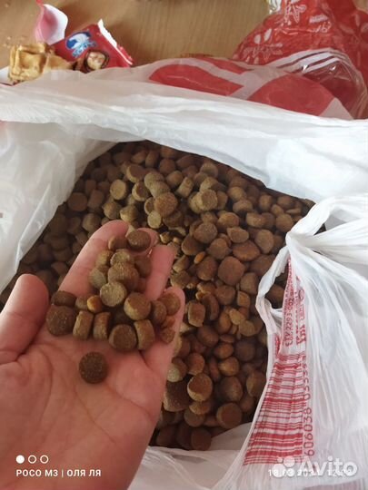 Сухой корм для собак 3кг super премиум класса