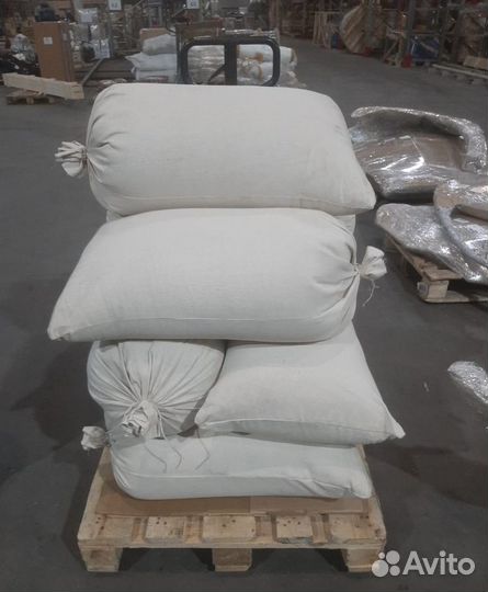 Семена ели от производителя