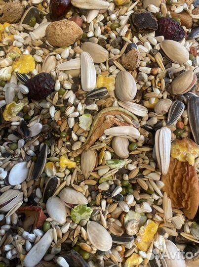 Корма для крупных/средних попугаев