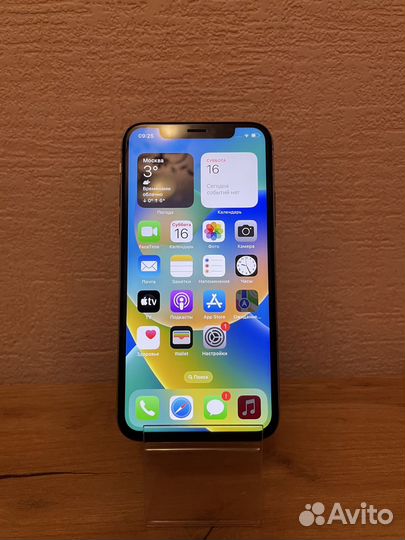 iPhone X, 64 ГБ