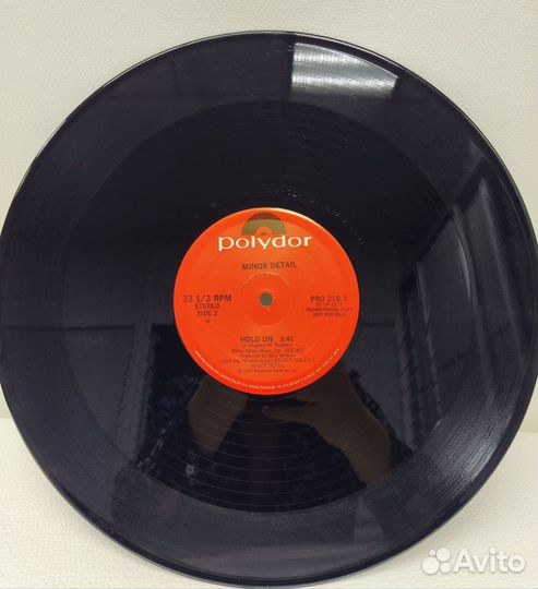 Minor Detail - Hold On /Canvas of Life LP