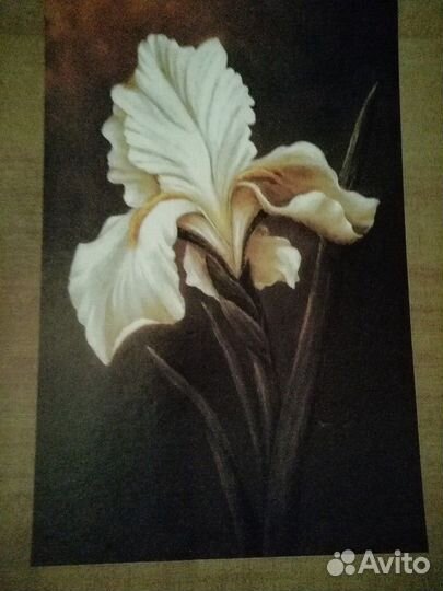 Картина Размер 26,8 * 36,5