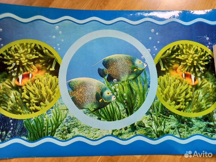 Цветная подложка