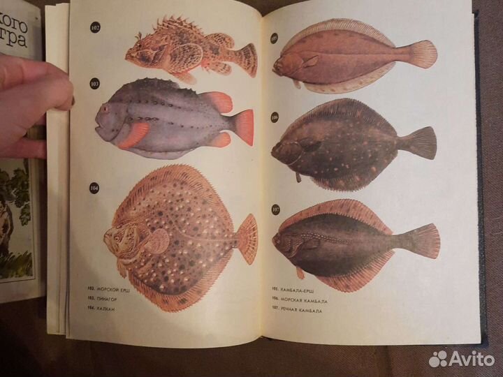 Книги о рыбалке и водоемах