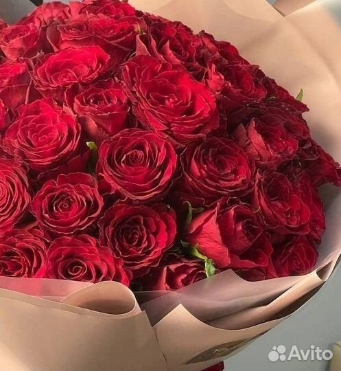 101 Роза Букет цветы