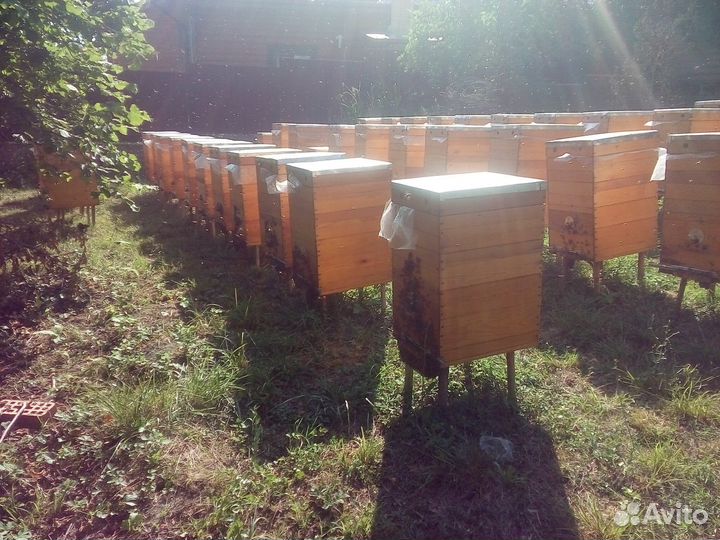 Улей для пчел бу, кормушки для пчел, грелки пчёлам