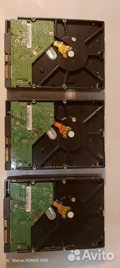 Жесткий диск 1 тб western digital