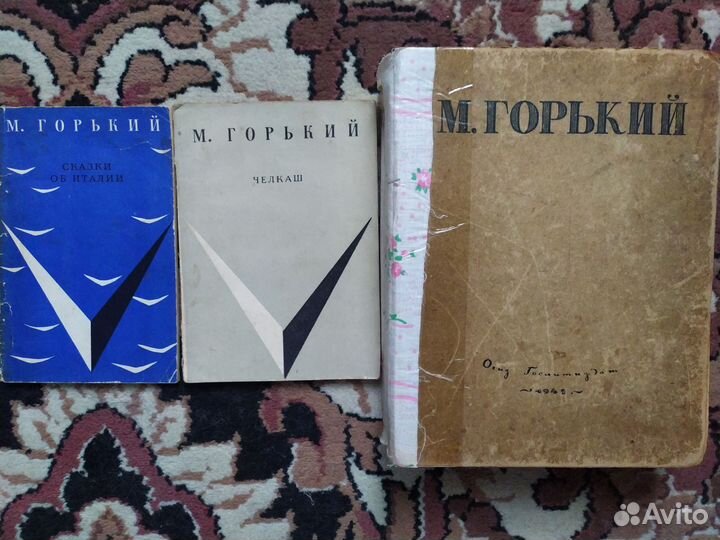 Достоевский, Горький, Салтыков-Щедрин и т д