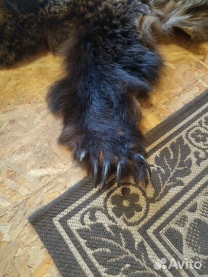 Медвежья шкура (имитация)