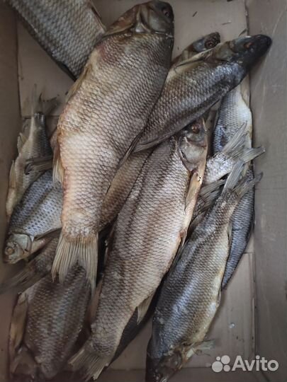 Рыба вяленая сушеная