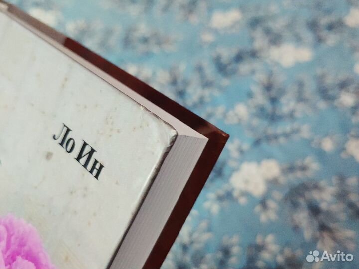 Разрыв времён - Ло Ин