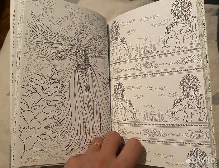 Раскраска для взрослых антистресс зоополис