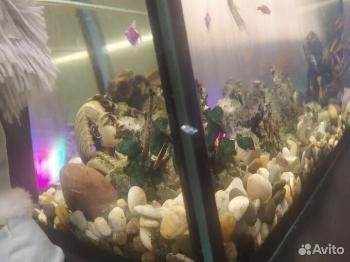 Аквариум комлект