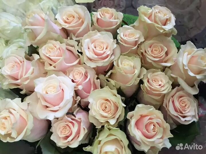 Доставка цветов в Симферополе. Букеты. Цветы 1